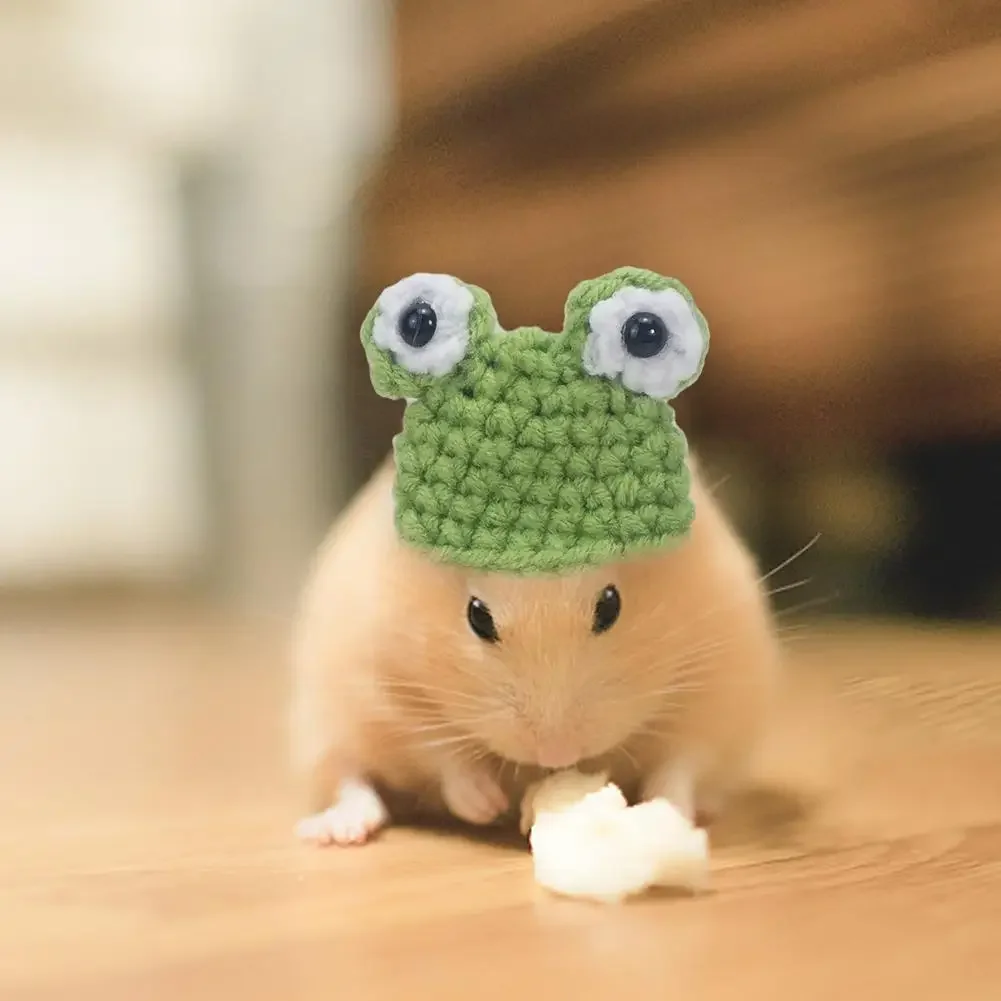 Cute Handmade Knitted Hat Hamster Decoration Chipmunk Guinea Pig Hamster Accessories Hamster Toy Hamster Small Pet Supplies