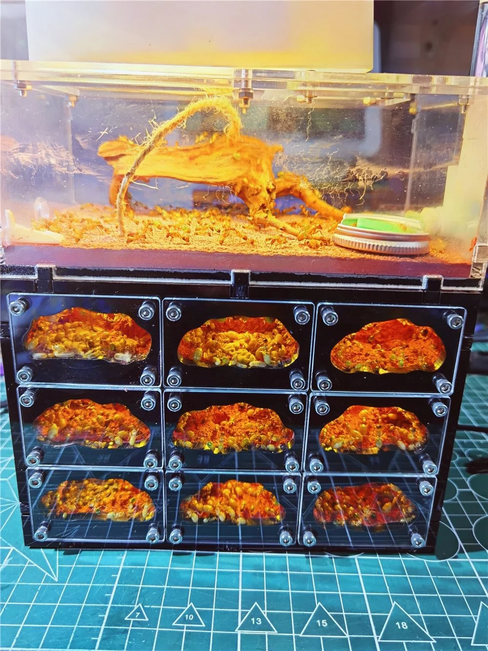Multi Layer 9 Grid Transparent Acrylic Small Animal Cage with Separate Compartments, Stackable Rodent Breeding Tank