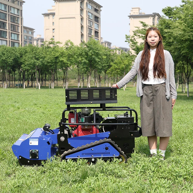 

Customized Factory Zero-Emission Remote Mower for Eco-Conscious Families flail mower