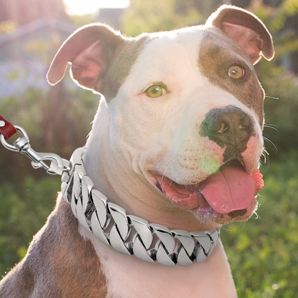Gold Cuban Chain Pet Collar, Customized Leash, Stainless Steel, Strong Strap, Bully, Large Dog, Pitpull, Bulldog, 32mm
