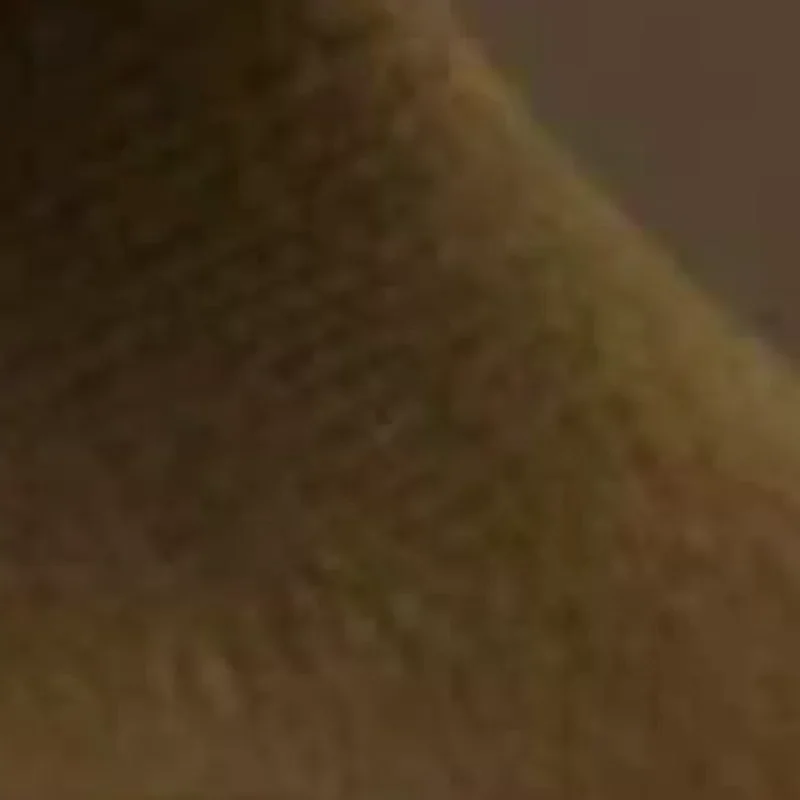 Machine à lait électrique automatique pour bébé, mélangeur de formule intelligente, Shaker de biberon, aide au chauffe-biberon à agitation uniforme