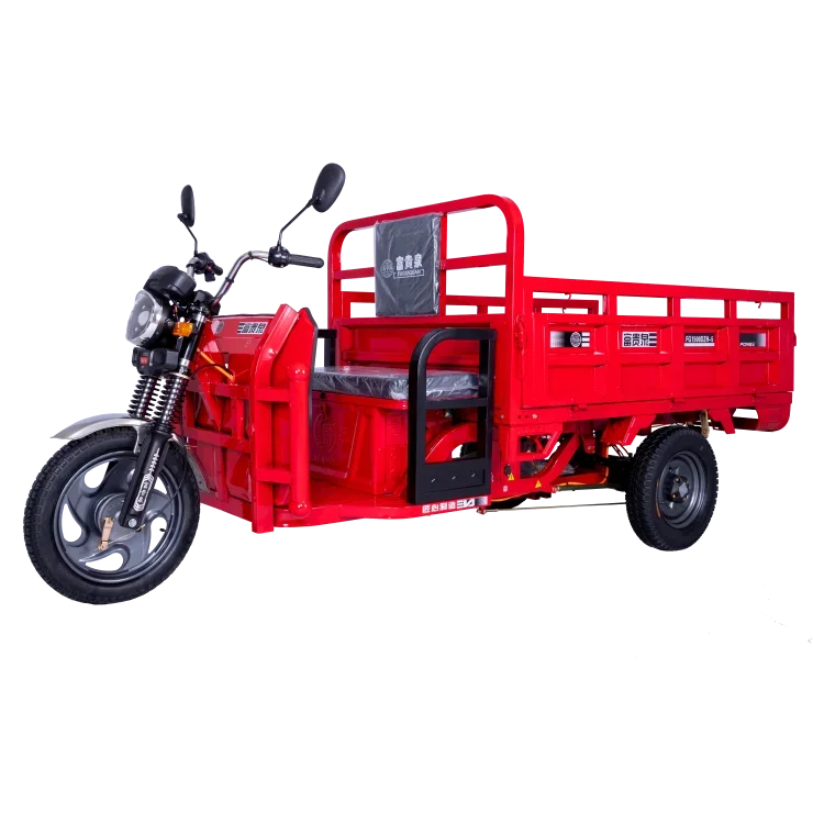 High Loding Capacity E-rickshaw Factory Direct Wholesale Tricycle 3 wheel Electric Tricycle for Adults