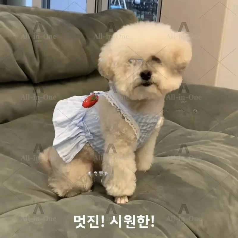 Clothes For Small Dogs Puppy Skirt Dog Costume New Summer Spring Dog Dress Princess Sle Thin Cute Pet