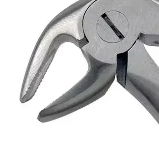 

Stainless Steel Dental Extraction Forceps Adult Teeth Extracting Dental Oral Cavity Lab Instrument Tool