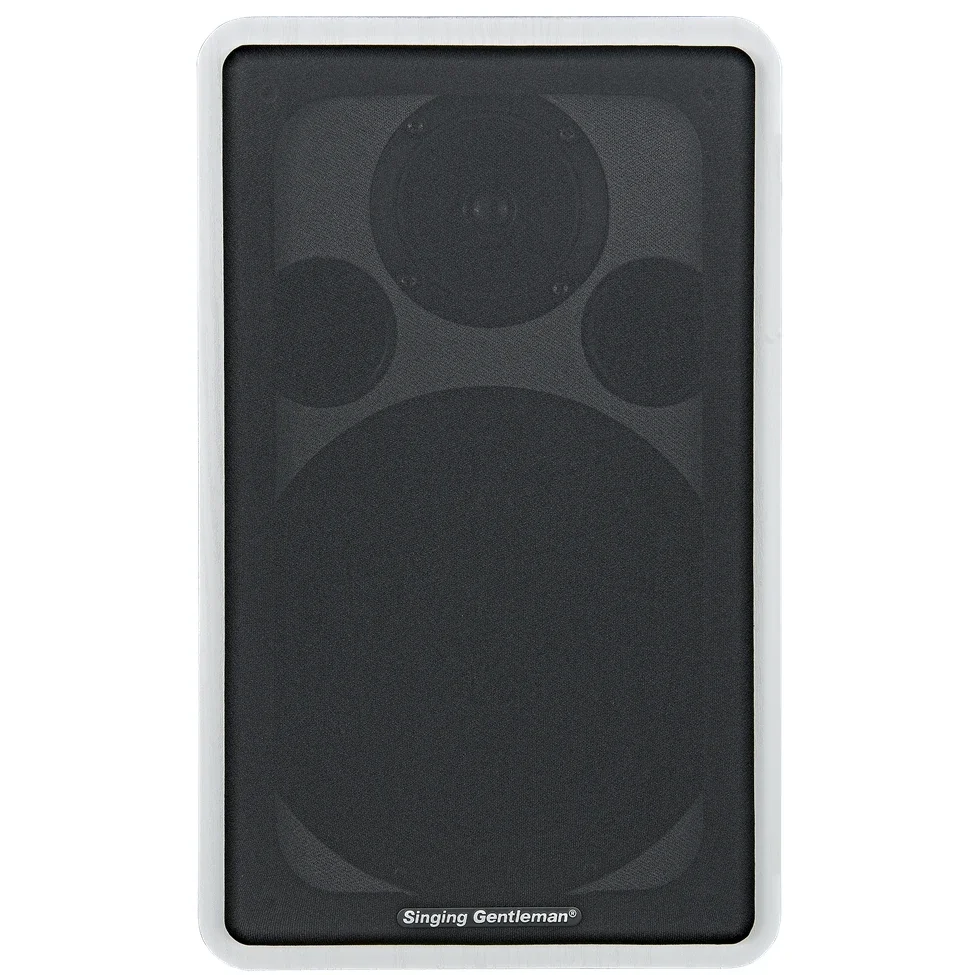 

Portable 150W 8inch Portable Wireless Karaoke Party Speaker Bookshelf Speaker Home Use