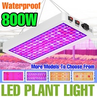 800W LED Plant Grow Light Full Spectrum Greenhouse Tent Vegetable Potted Flower Hydroponics Cultivation Lamp IR UV Fill Lighting