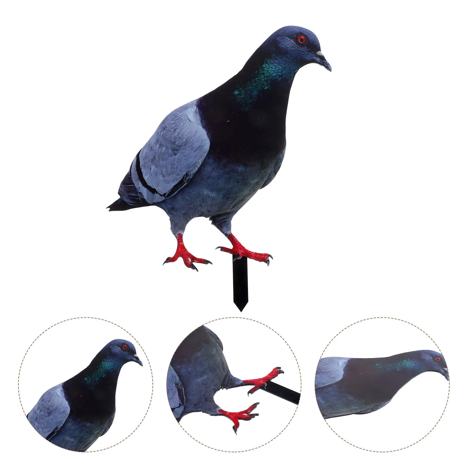 

Pigeon Garden Stake Eyecatching Yard Ornament Reliable Wear Resistance Fine Workmanship Garden Accessory Pigeon Yard Stake