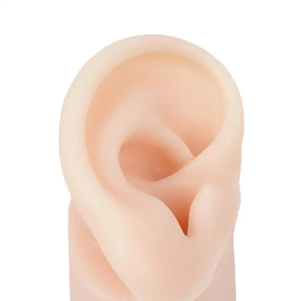 Highly Simulated Silicone Ear Model with base Ear Canal Training Earrings Headset Display Props learning Tools Fake Ear