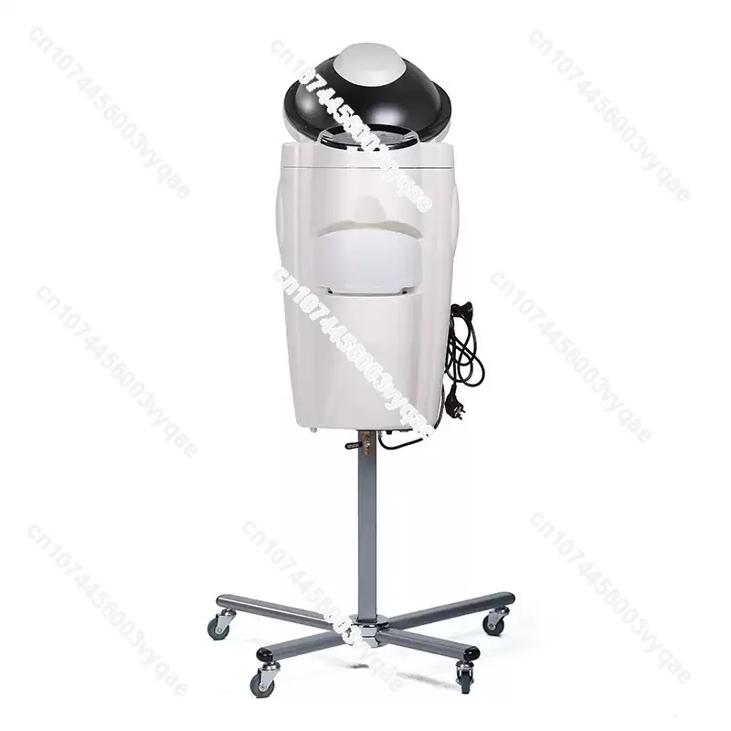 Oil Treatment Ozone Micro Mist Steam Hair Care Heater 12 Lights with Remote Control Salon Styling Tool