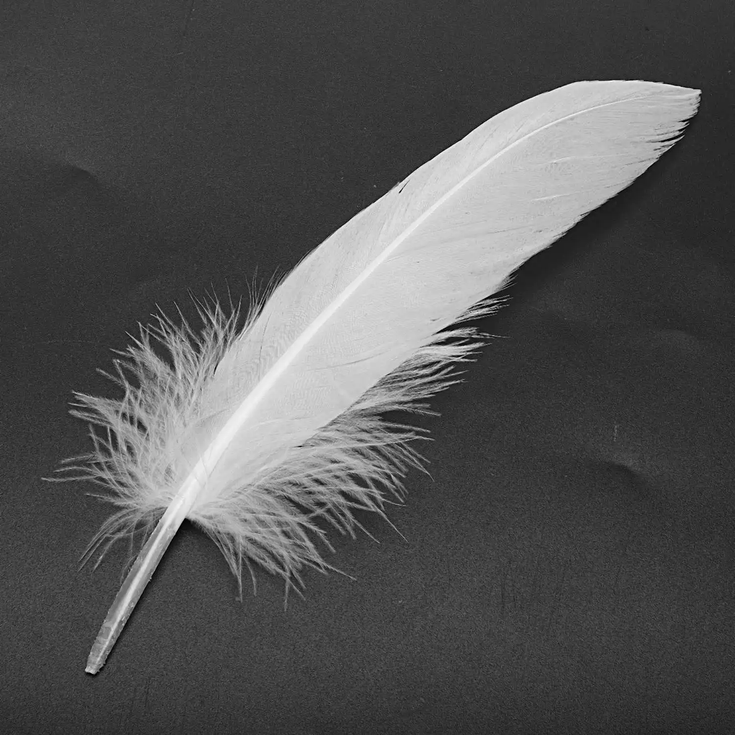 AB72-100pcs White Feathers Goose Craft for Hat Crafts Wedding Decoration 15-22cm