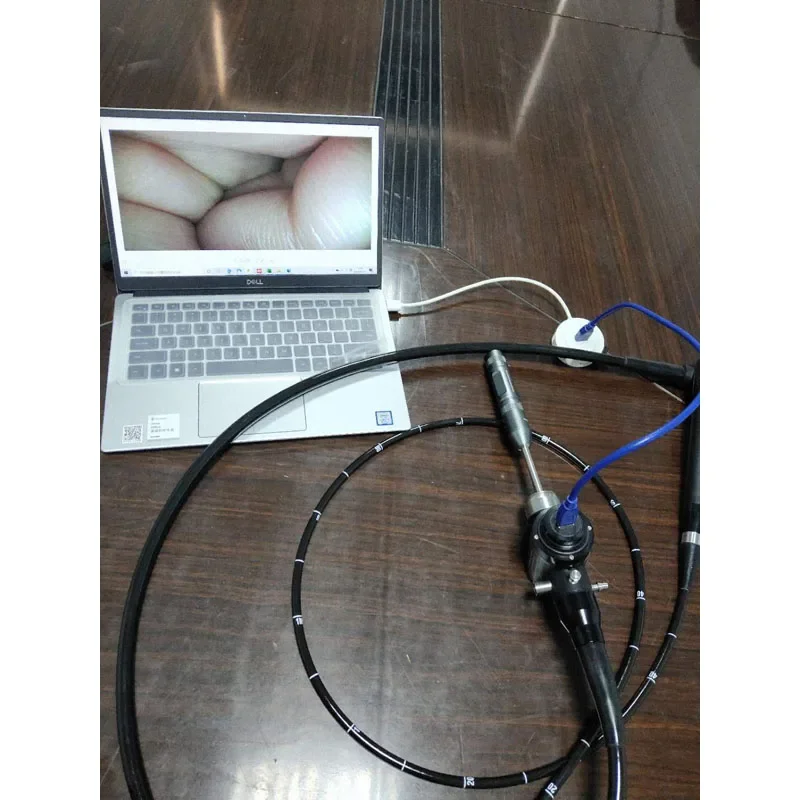 USB Option Video Medical Veterinary Flexible Endoscope 7MM Gastro-colonoscope Portable Veterinary Gastroscopy