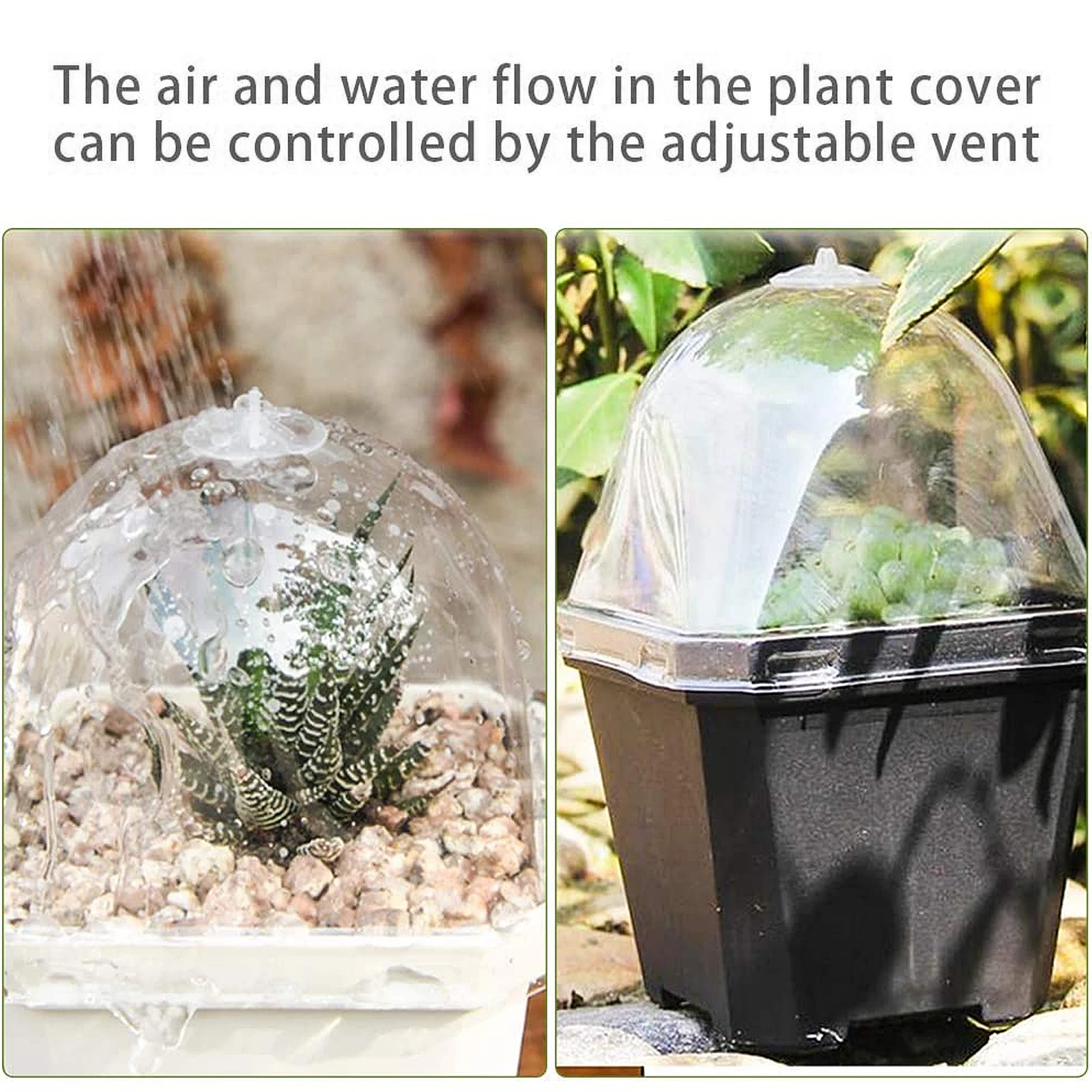 

Adjustable Transparent Humidity Dome Cover for Seedling Greenhouse Frost Proof Anti-Freezing Plastic Cloche Air Vent Durable