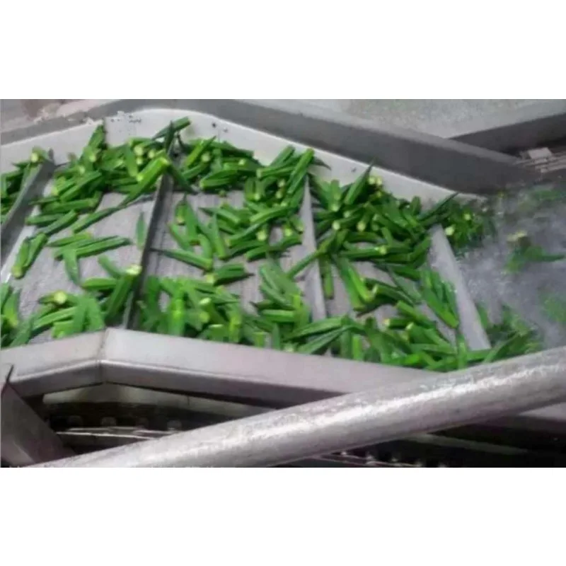 Professional Vegetable and Fruit Washer Leaf Vegetable Washing Machine