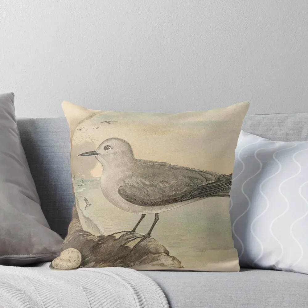 

Vintage Seagull Illustration (1906) Throw Pillow Couch Pillows Christmas Pillow pillow