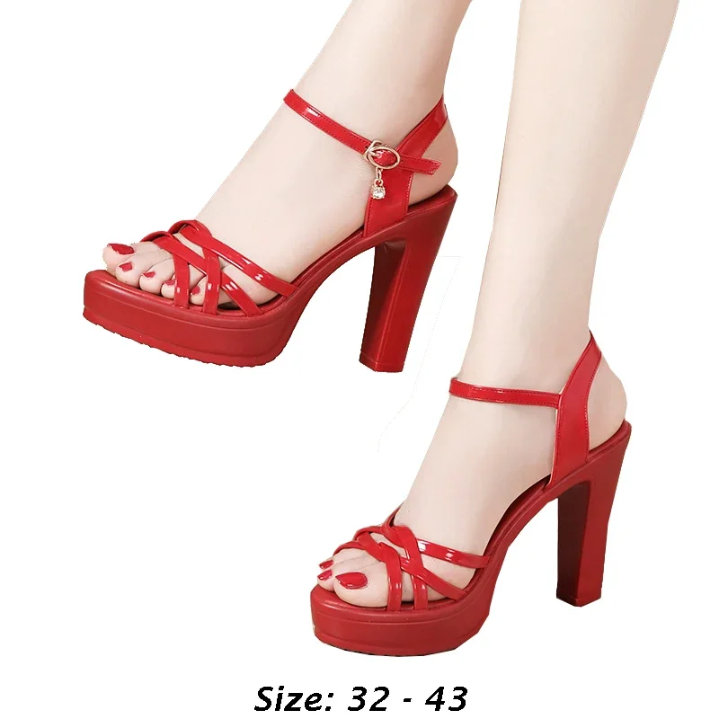 

High Quality Sandals for Women 10cm High Heel Summer Size 32 33 42 43 Platform Open Toe Elegant Fashion Shoe Black Silver W600