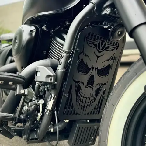 6 best sales कावासाकी vn900 - №6