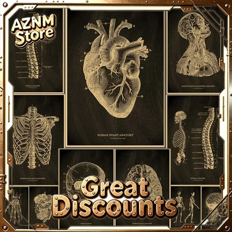 (2D canvas painting)  Heart/Skull/Brain Kraft Paper Poster Chalkboard Anatomical Skeleton Vintage Home Room Medicine Decor Me