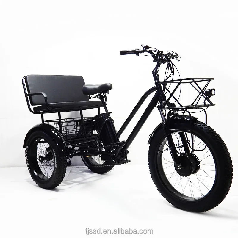 

Electric Adult passenger Tricycle Fatbike from China Ebike electric tricycle Custom Steel 3 wheel cargo Bicycle