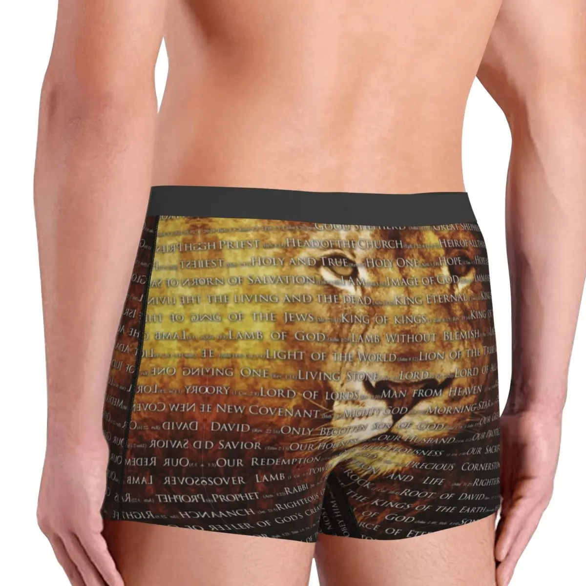 Male Cool The Names Of God Jesus Lion Underwear Christian Catholic Boxer Briefs Breathbale Shorts Panties Underpants