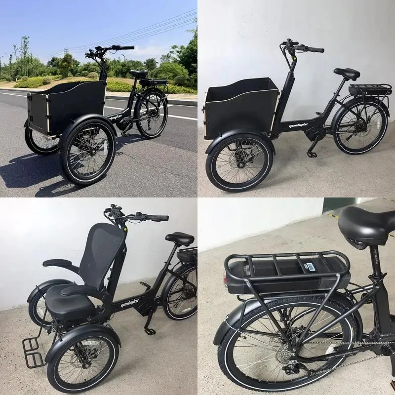 Adult Electric Tricycle 250W Mid Motor 48V 15Ah Battery 150kg Load Pet Dog Transport Three Wheel E Bike