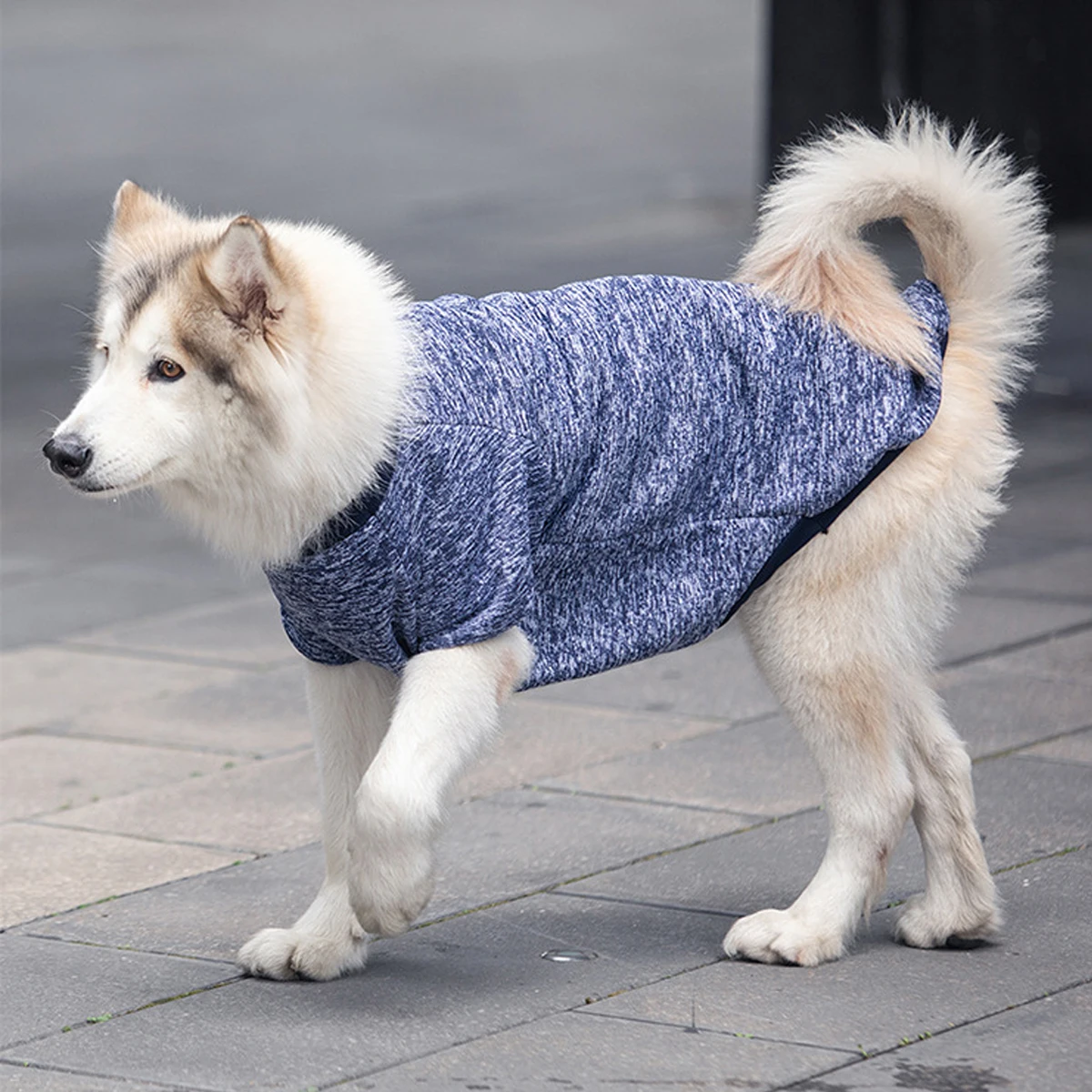 Sudaderas para perros medianos y grandes, ropa de otoño e invierno, suministros para mascotas, Golden Satsuma Huskies Border Collies