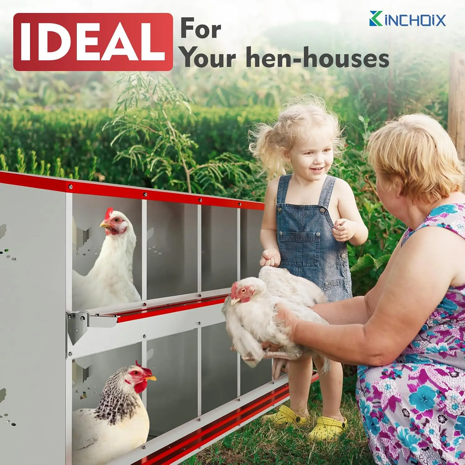 Chicken Nesting Boxes - 10 Compartment Metal Poultry Nest Box Wall Mount for Chickens, Hens, Ducks - Easy Egg Collection - Large