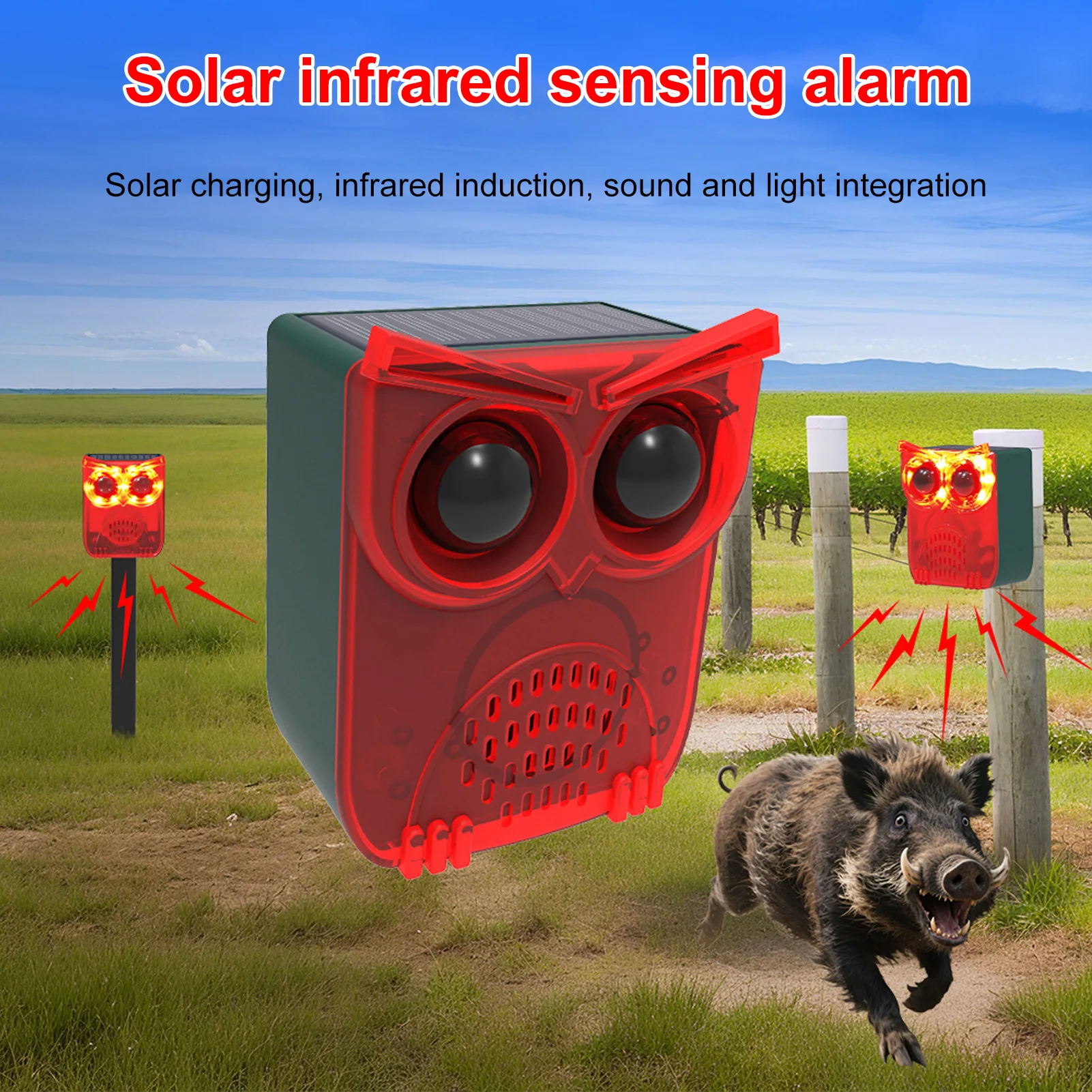 Solar Motion Sensor…