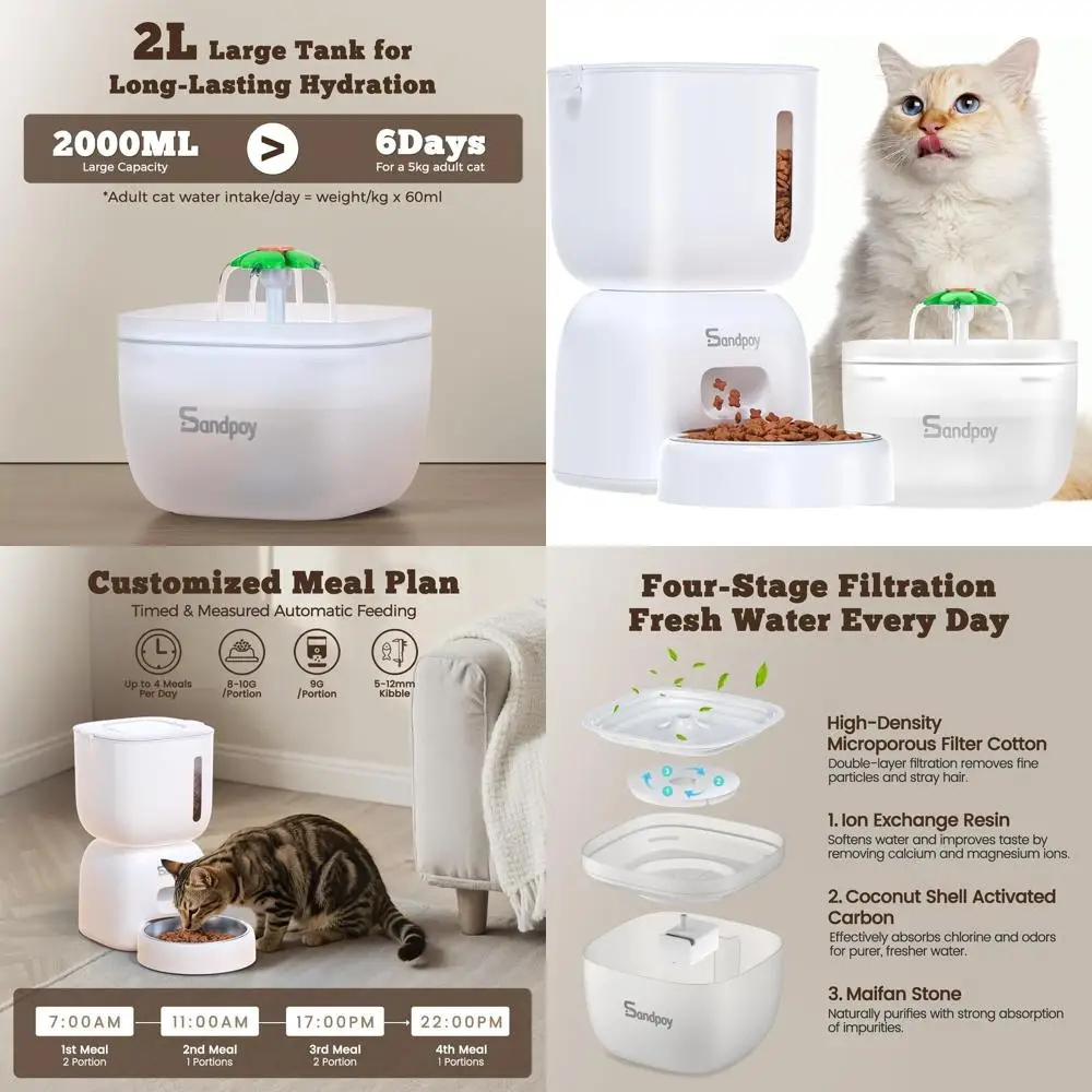 Automatic Cat Feede…