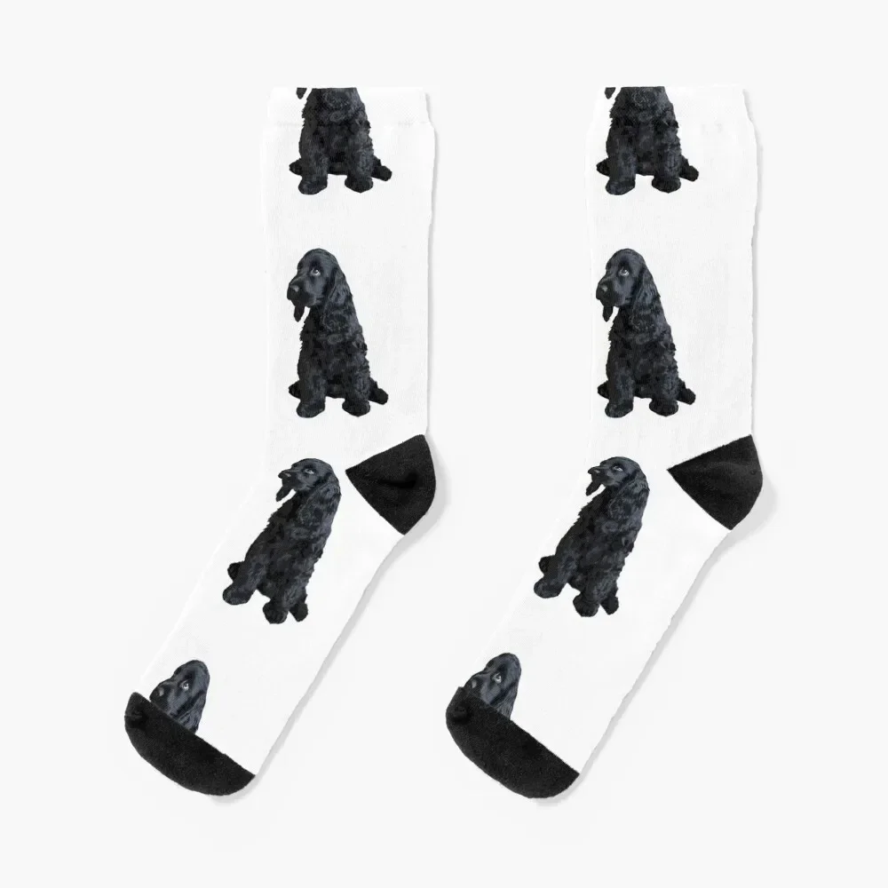 

English Cocker Spaniel Cute Black Puppy Dog Socks funny gift christmas stocking kawaii Children's Women's Socks Men's