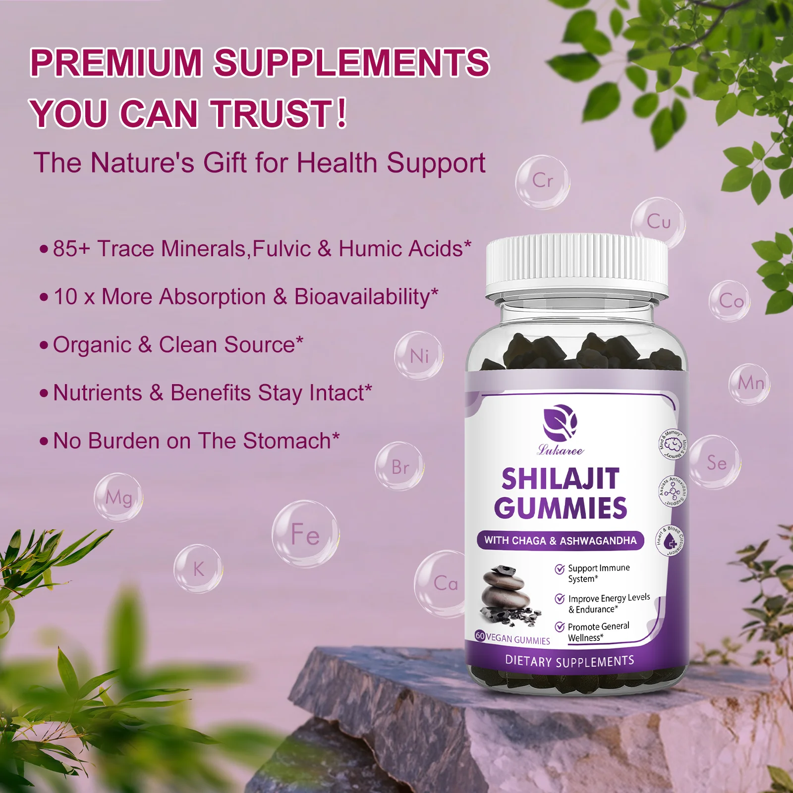 Lukaree 100% Organic Chaga Mushroom SHILAJIT Gummies 10 x More Absorption & Bioavailability