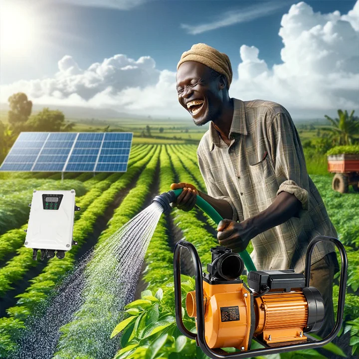 

2 Inch 1 Dc48V Irrigation Surface Solar Water Pumps Land Pump for Agriculture Irrigation Magnet Electric Pump Pompa