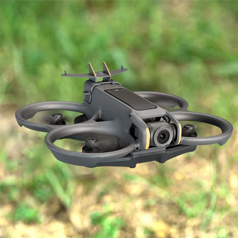 Aa60-Tail Wing Flig… - image