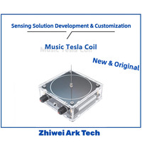 Bluetooth/AUX Music Tesla Coil, Touchable Lightning Speaker, Dual Mode Audio Input, Science Experiment Kit for STEM Education