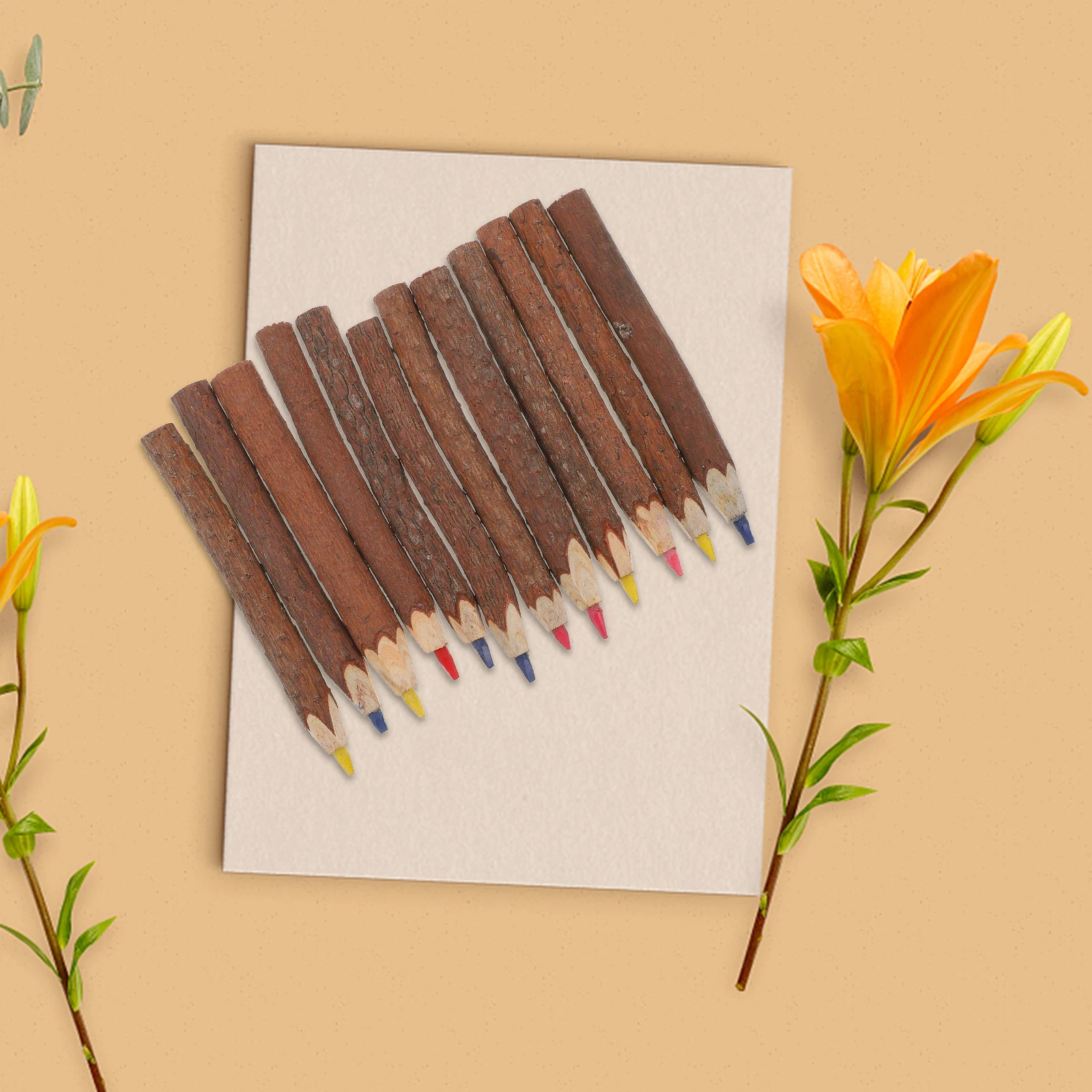 

12 Pcs Colored Pencils Bark Coloring Number Artist Branch Twig Wooden Tree Work
