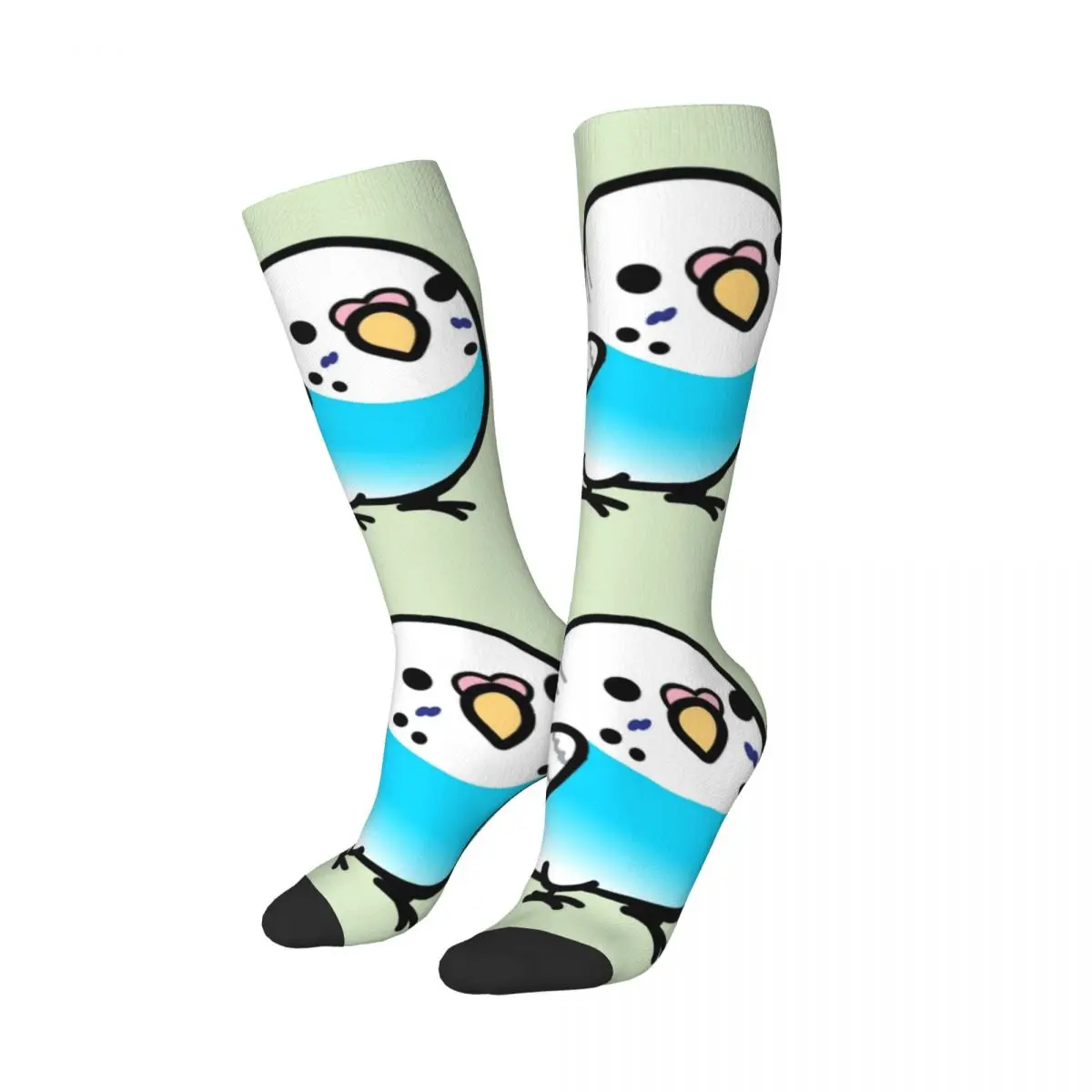 Chubby Blue Budgie Socks Harajuku Sweat Absorbing Stockings All Season Long Socks Accessories for Unisex Gifts