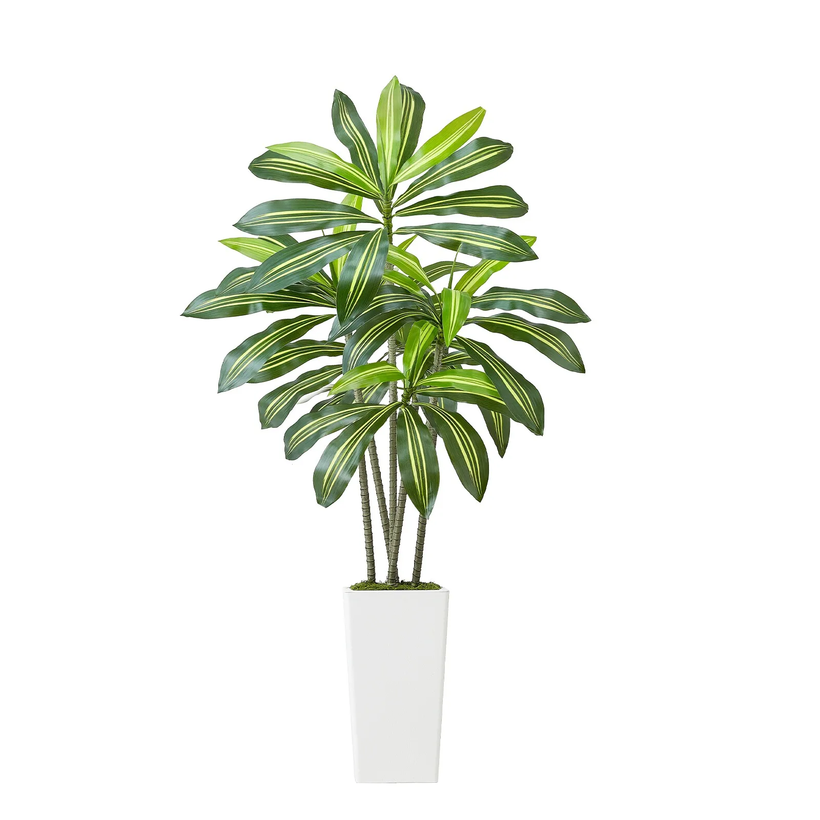 

Uimoso 5ft Faux Dracaena Tree with White Pot for Indoor Spaces