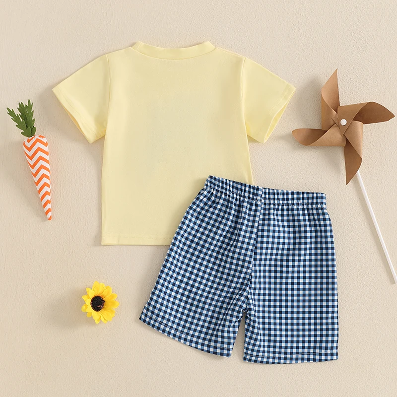Summer Toddler Baby Boys Easter Outfits Bunny Truck Embroidery Short Sleeves T-Shirt and Elastic Plaid Shorts Set 2Piece Clothes