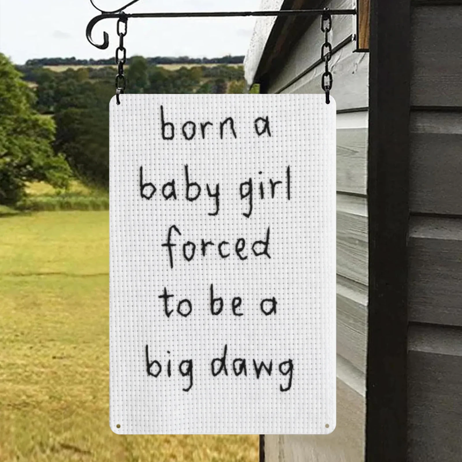 Funny Born A Baby Girl Quote Metal Tin Sign Embroidered Style Sarcastic Feminist Wall Art Plaque Vintage Minimalist Home Bedroom Dorm Decor Gift for Women
