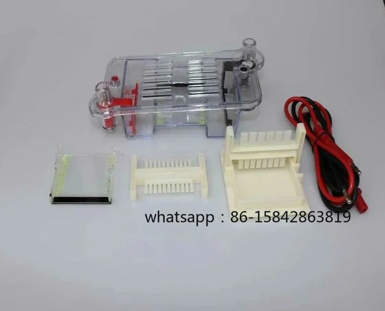 Horizontal Electrophoresis Tank Agarose Electrophoresis Tank Biological Instrument Molecular Separation Teaching Instrument