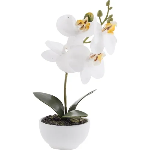 Euro Flora Artificial Orchid Pots 18,5 Cm