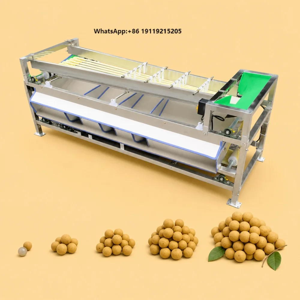 Automatic Fruit Vegetable Grading Machine Onion Mangosteen Blueberry Dates Avocado Sorting Machine Tomato Grader Sorter Machine