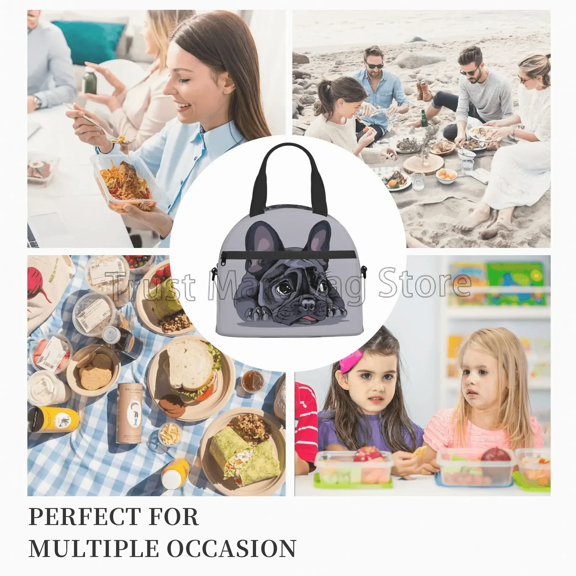 French Bulldog Art Thermal Lunch Bag Funny Bento Tote Bags for Adults Kids Portable Insulated Lunch Box for Picnic Work School