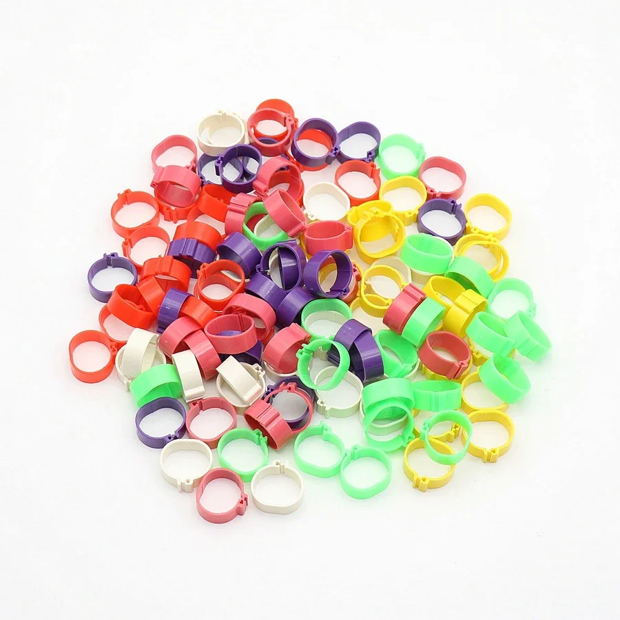 

120Pcs 16mm Poultry Foot Ring Chicken Duck Goose Birds Feeding Supplies 6Colors