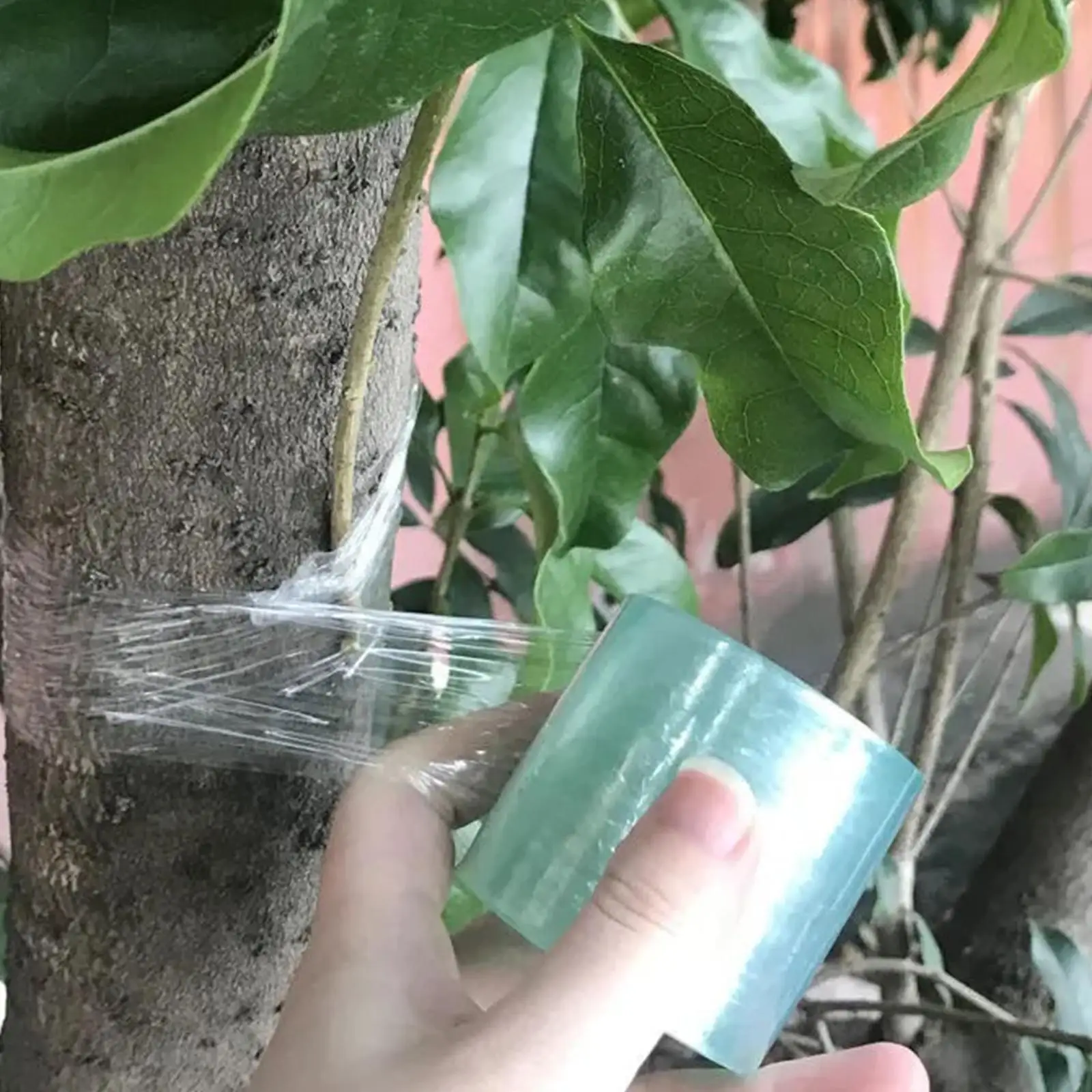 Garden Grafting Tape for Fruit Trees PVC Stretchable Plant Wall Holder Repair Wrap Budding Film Transparent Floristry Tape for