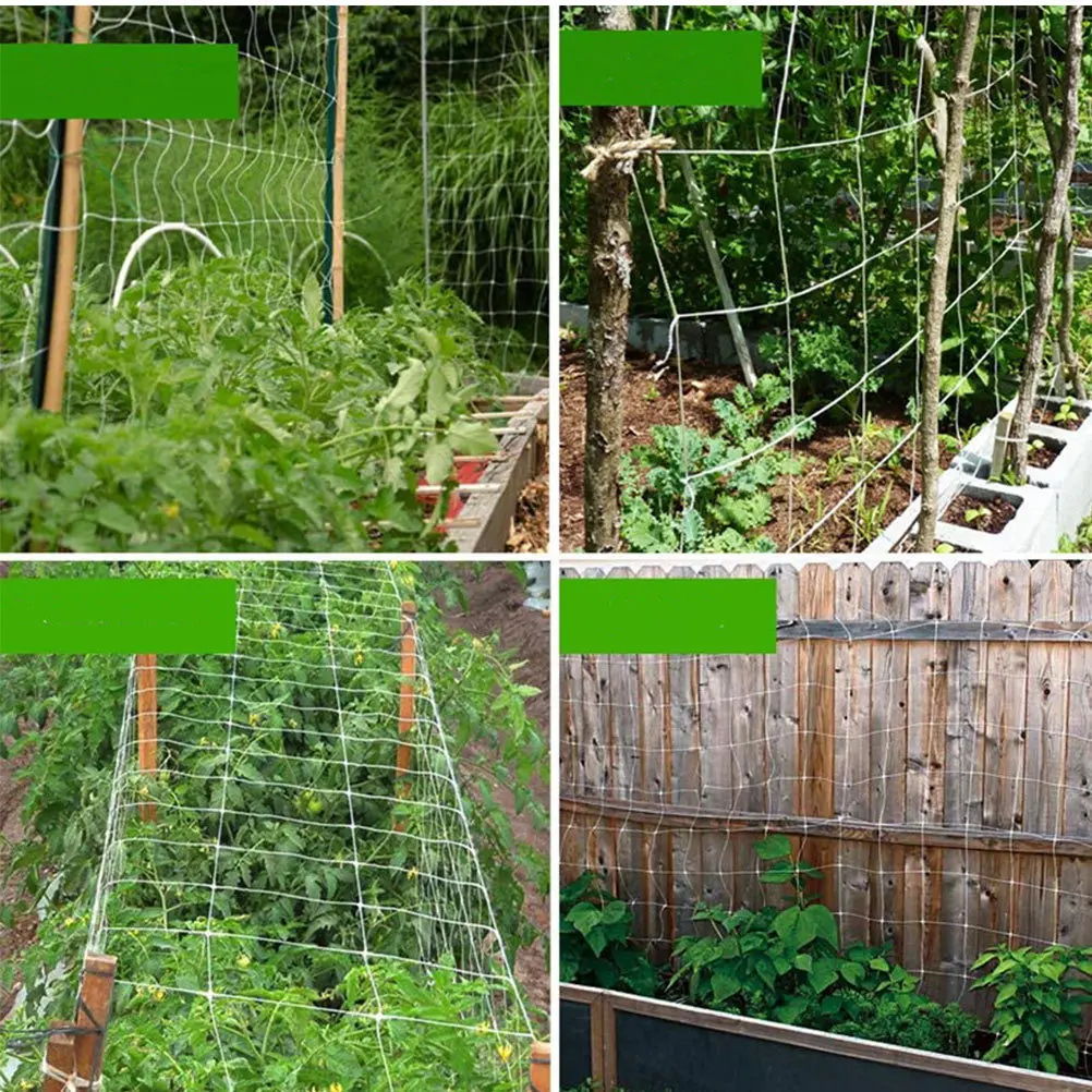 

Trellis Netting Garden Climbing Net Heavy Duty for Fruit Vine Flower Plants Support Tomatoes Peas Beans Plant Climbing Net