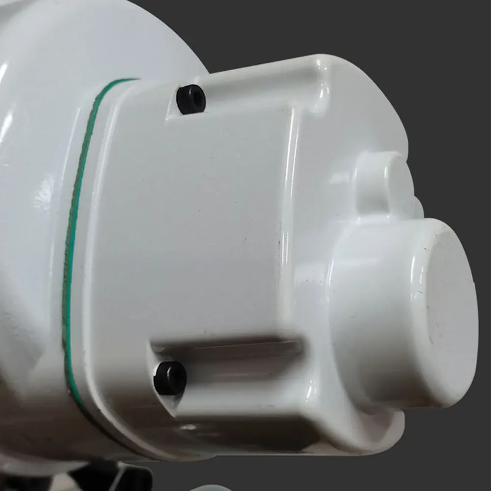Treuil à chaîne électrique pour grue lourde, capacité de charge de 1 t1000 kg, monte-charge pour atelier, 220V