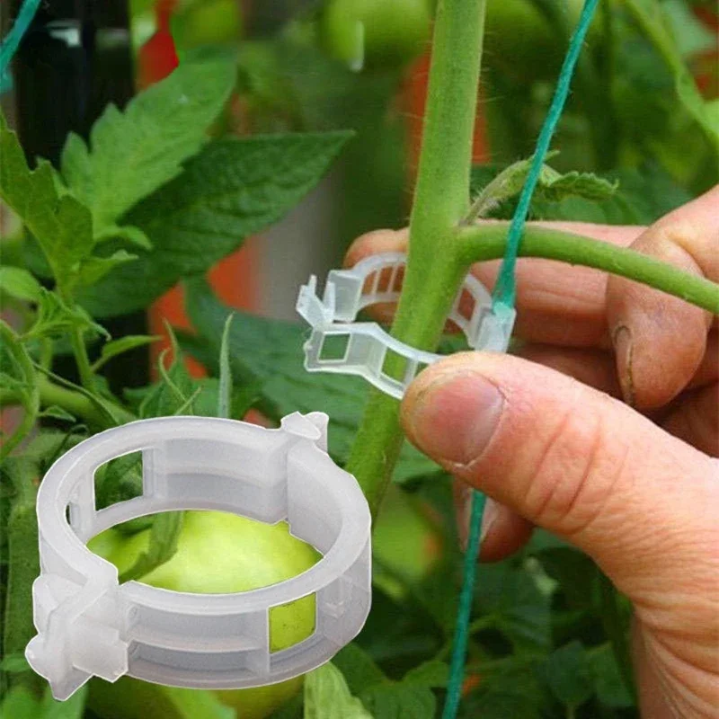 50/100pcs Plastic Plant Clips Supports Connects Reusable Protection Grafting Fixing Tool Gardening Supplies for Vegetable Tomato