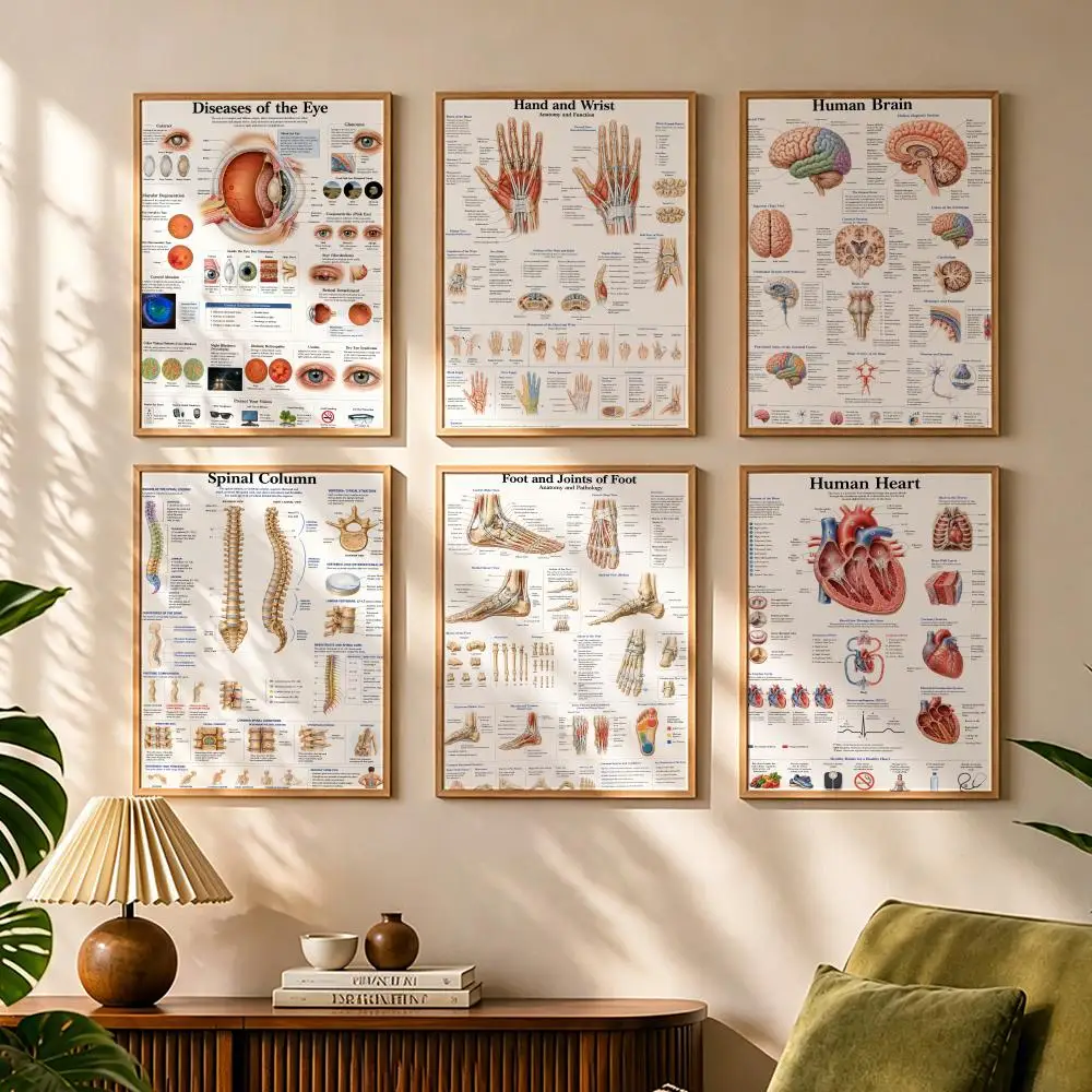 Human Eye Anatomy Muscles System Calligraphy Canvas Poster Bedroom Living Room Bar Hallway House Interior Wall Decor