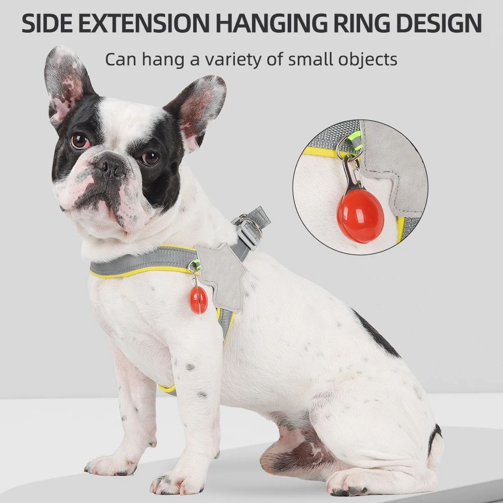 Upgrade Your Pet's Wardrobe with this Stylish, Comfortable, and Durable Pet Collar and Leash Set designed for Outdoor Activities