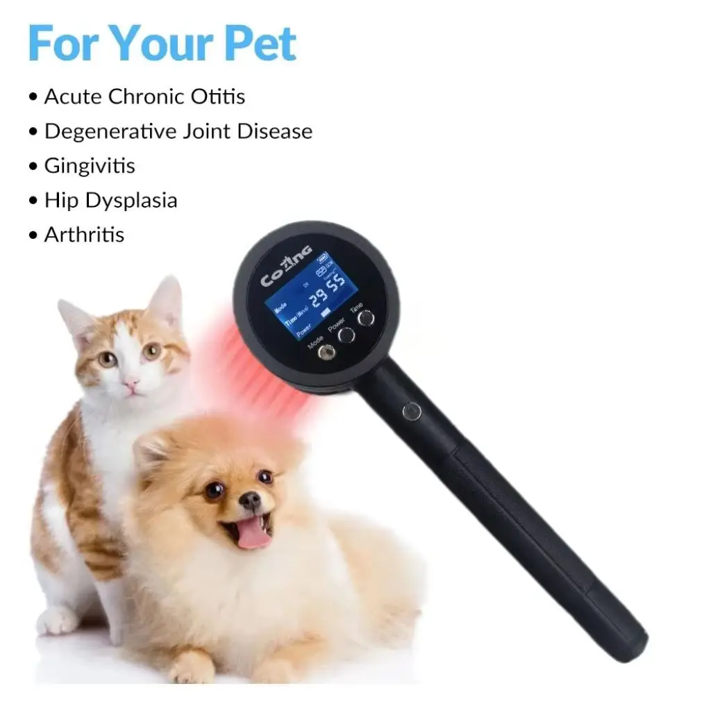 

Class 4 Laser for Animal Pet Use Horse Dog Cat Etc Joint Pain Relief Laser Equipment